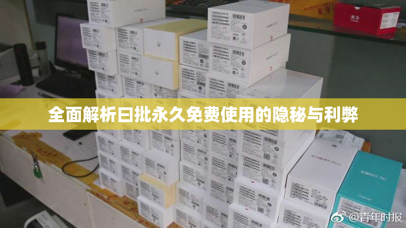 全面解析曰批永久免费使用的隐秘与利弊