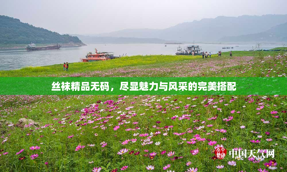 丝袜精品无码，尽显魅力与风采的完美搭配