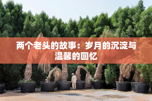 两个老头的故事：岁月的沉淀与温馨的回忆