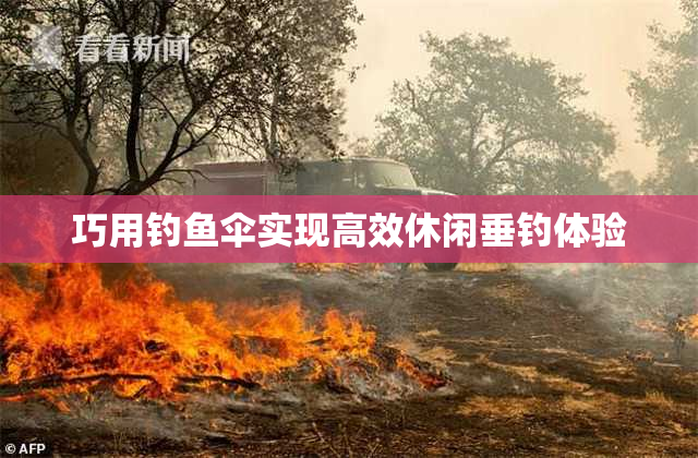 巧用钓鱼伞实现高效休闲垂钓体验