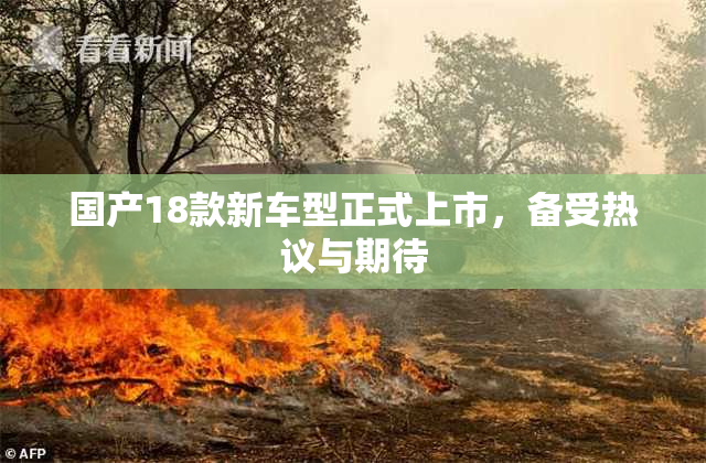 国产18款新车型正式上市，备受热议与期待