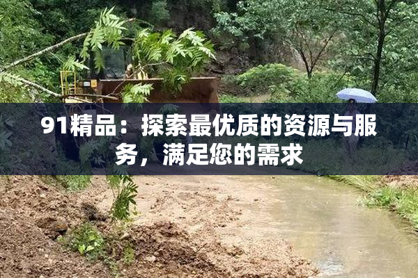 91精品：探索最优质的资源与服务，满足您的需求