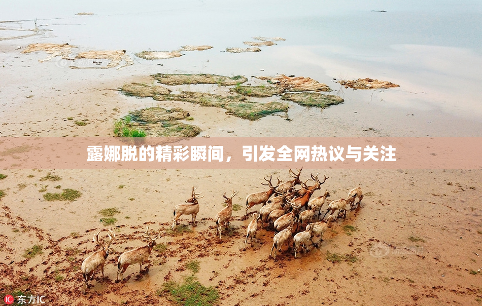 露娜脱的精彩瞬间，引发全网热议与关注