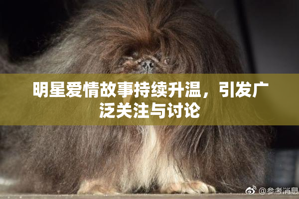 明星爱情故事持续升温，引发广泛关注与讨论