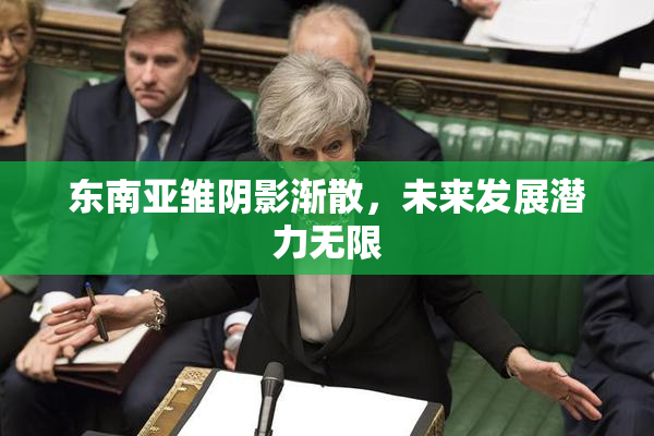 东南亚雏阴影渐散，未来发展潜力无限