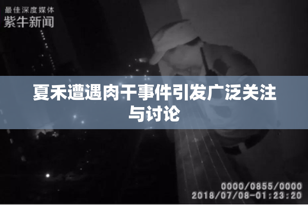 夏禾遭遇肉干事件引发广泛关注与讨论
