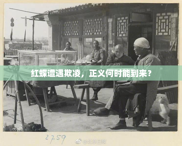 红蝶遭遇欺凌，正义何时能到来？