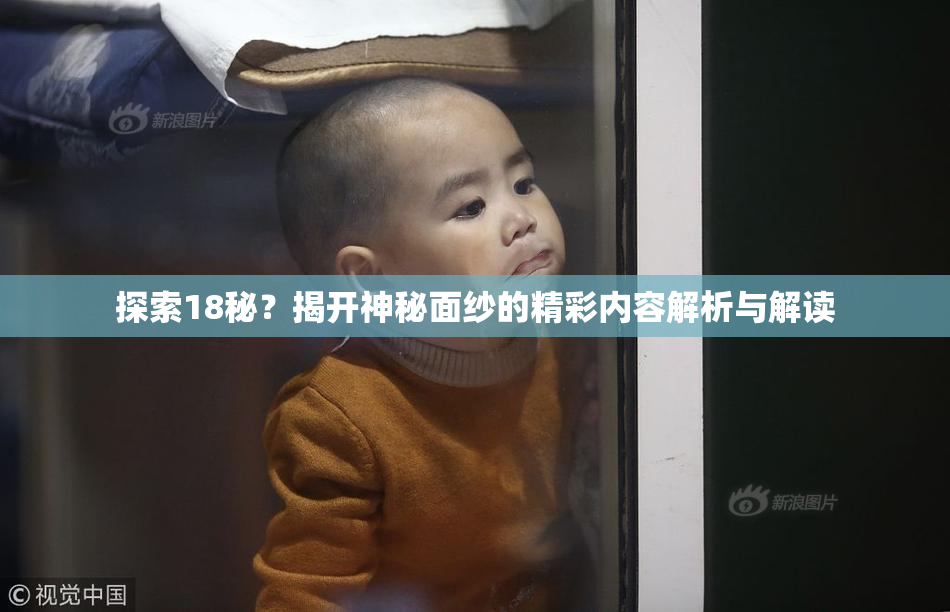 探索18秘？揭开神秘面纱的精彩内容解析与解读