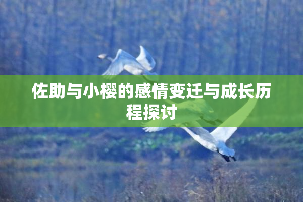 佐助与小樱的感情变迁与成长历程探讨