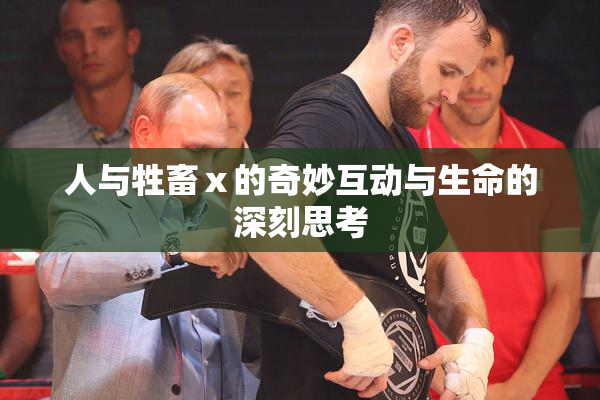 人与牲畜ⅹ的奇妙互动与生命的深刻思考