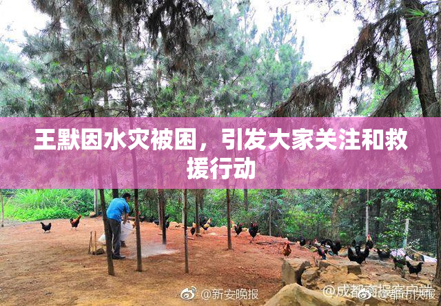 王默因水灾被困，引发大家关注和救援行动