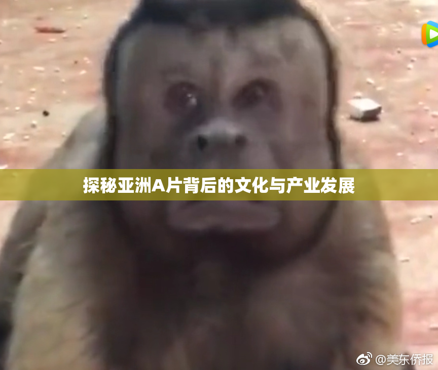 探秘亚洲A片背后的文化与产业发展