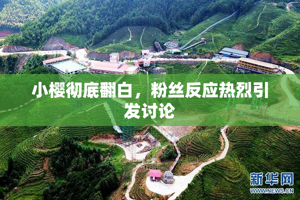 小樱彻底翻白，粉丝反应热烈引发讨论