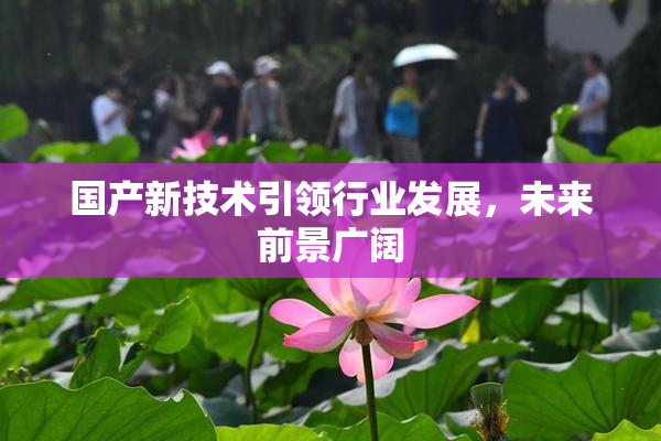 国产新技术引领行业发展，未来前景广阔