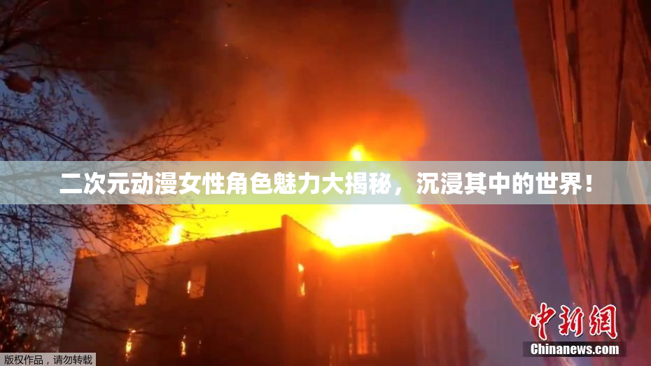 二次元动漫女性角色魅力大揭秘，沉浸其中的世界！