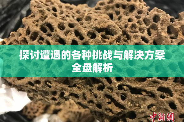 探讨遭遇的各种挑战与解决方案全盘解析