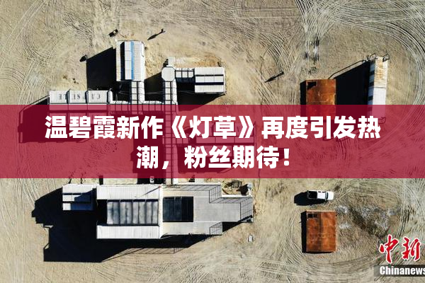 温碧霞新作《灯草》再度引发热潮，粉丝期待！