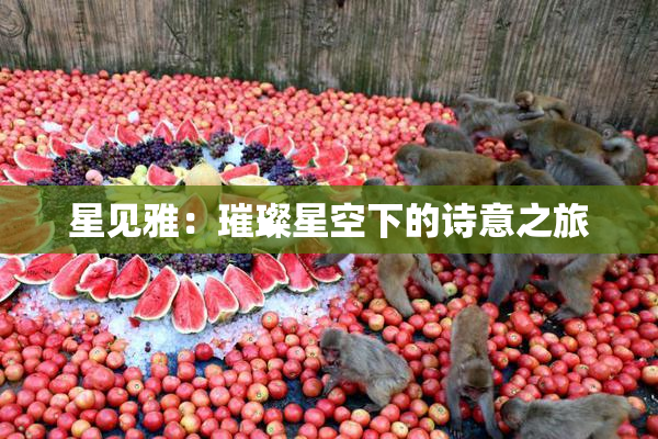 星见雅：璀璨星空下的诗意之旅