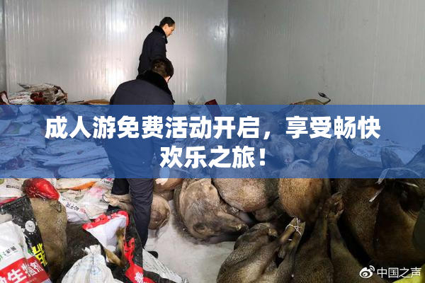 成人游免费活动开启，享受畅快欢乐之旅！