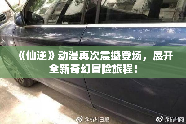 《仙逆》动漫再次震撼登场，展开全新奇幻冒险旅程！