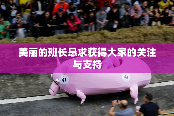 美丽的班长恳求获得大家的关注与支持