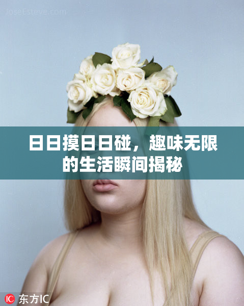 日日摸日日碰，趣味无限的生活瞬间揭秘