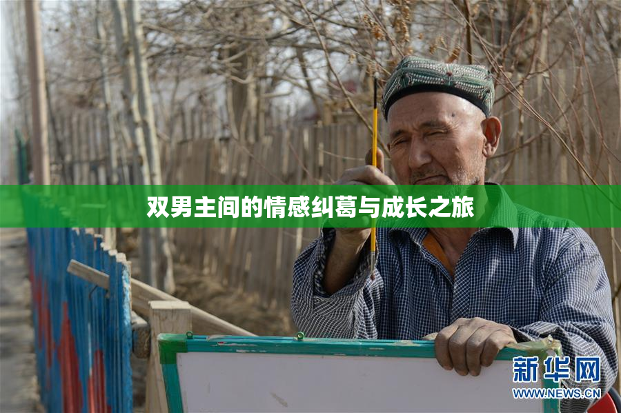 双男主间的情感纠葛与成长之旅