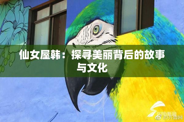 仙女屋韩：探寻美丽背后的故事与文化