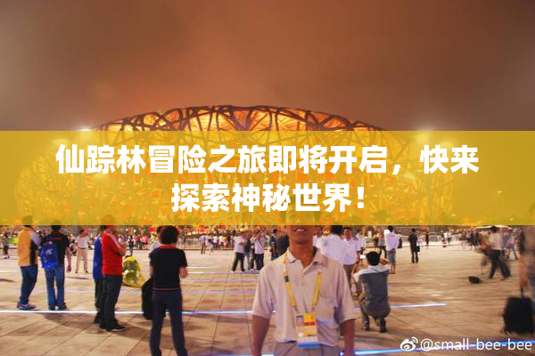 仙踪林冒险之旅即将开启，快来探索神秘世界！