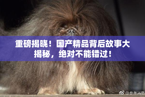 重磅揭晓！国产精品背后故事大揭秘，绝对不能错过！