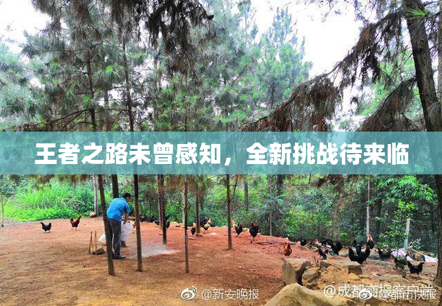 王者之路未曾感知，全新挑战待来临