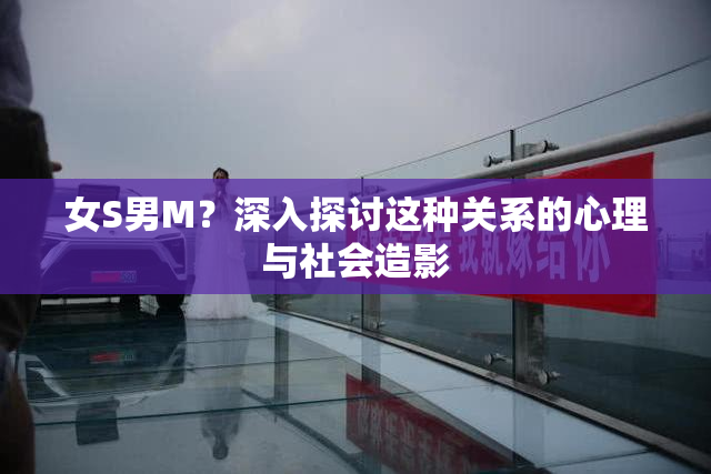 女S男M？深入探讨这种关系的心理与社会造影