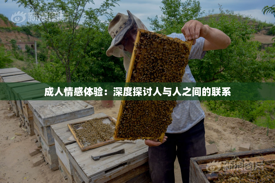 成人情感体验：深度探讨人与人之间的联系