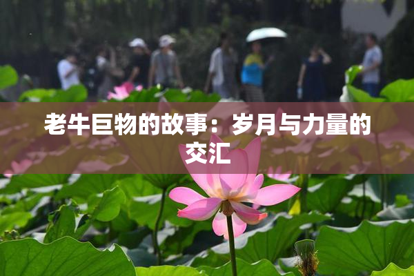 老牛巨物的故事：岁月与力量的交汇