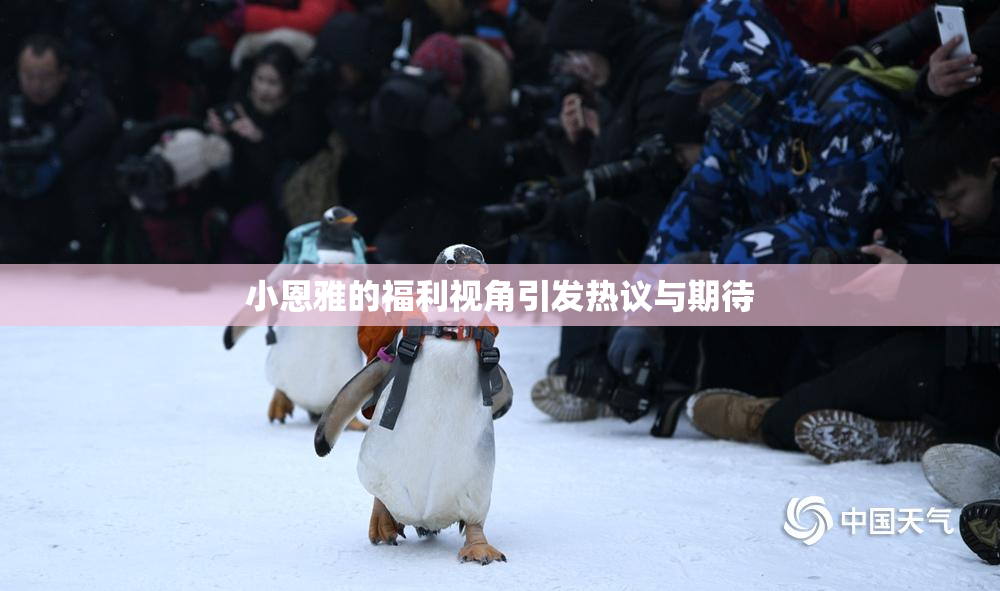 小恩雅的福利视角引发热议与期待