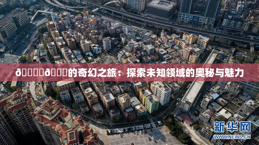 🔞‌🍌的奇幻之旅：探索未知领域的奥秘与魅力