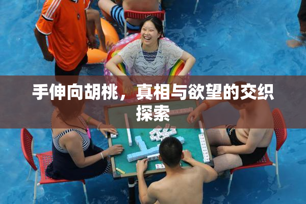 手伸向胡桃，真相与欲望的交织探索