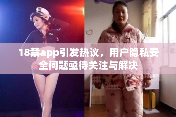 18禁app引发热议，用户隐私安全问题亟待关注与解决