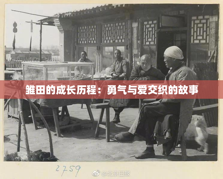 雏田的成长历程：勇气与爱交织的故事