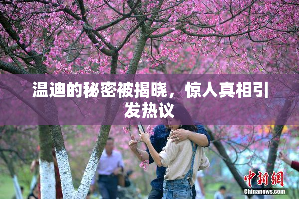 温迪的秘密被揭晓，惊人真相引发热议