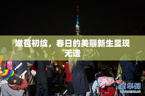 嫩苞初绽，春日的美丽新生显现无遗