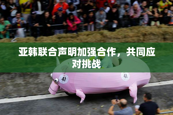 亚韩联合声明加强合作，共同应对挑战