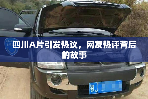 四川A片引发热议，网友热评背后的故事