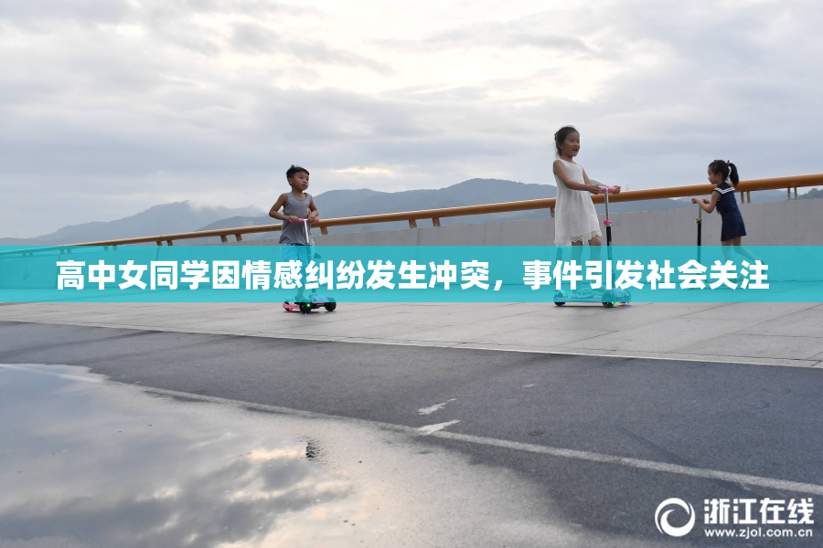 高中女同学因情感纠纷发生冲突，事件引发社会关注