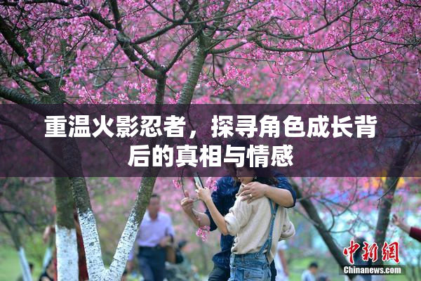 重温火影忍者，探寻角色成长背后的真相与情感