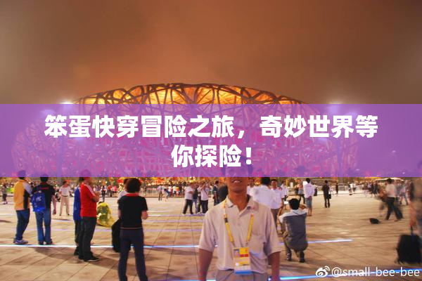 笨蛋快穿冒险之旅，奇妙世界等你探险！
