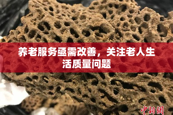 养老服务亟需改善，关注老人生活质量问题
