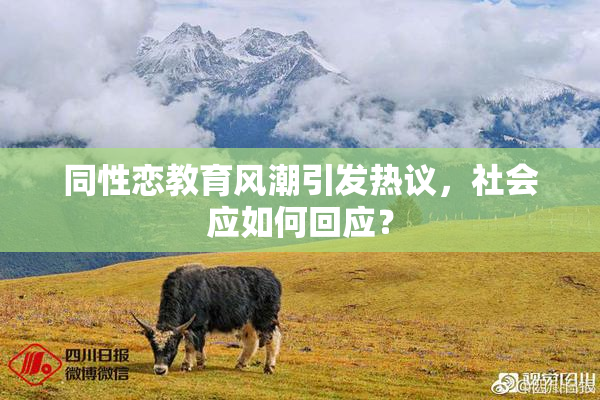 同性恋教育风潮引发热议，社会应如何回应？