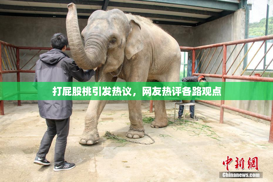 打屁股桃引发热议，网友热评各路观点