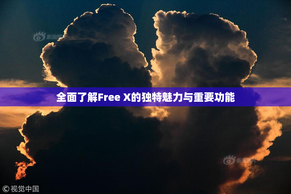 全面了解Free X的独特魅力与重要功能